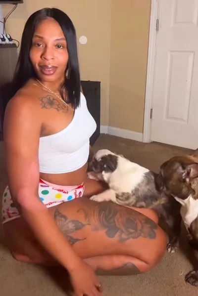 Omgedraaide chat AI – Chat met Shayla