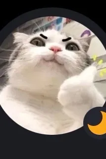 Flipped Chat AI – Sembang dengan Malaikat