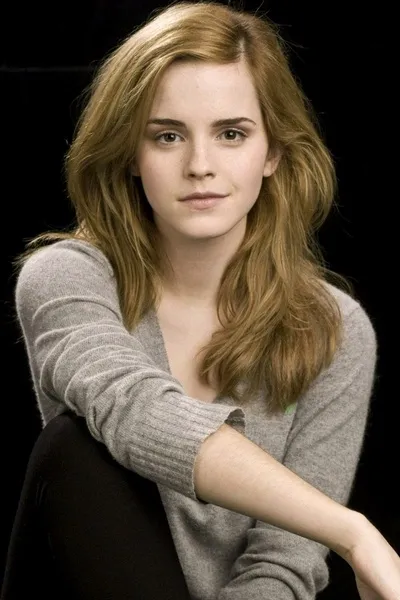 Flipped Chat AI – Sembang dengan Hermione Granger (Harry Potter