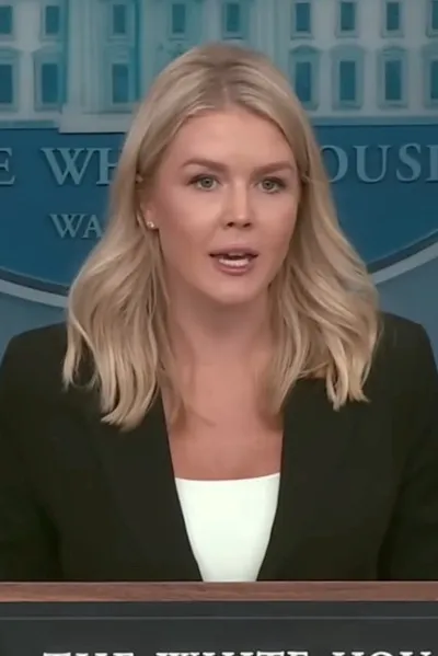 Flipped Chat AI – Чат с Каролин Лэвитт