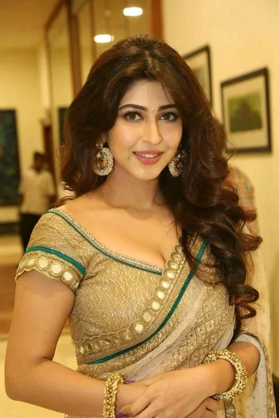 Çevrilmiş Sohbet Yapay Zekası – Sonakshiile sohbet edin