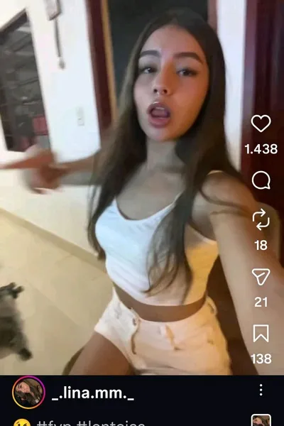 Flipped Chat AI – Chat s lina