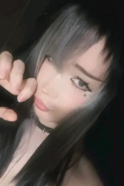 Flipped Chat AI – Chat s Arya