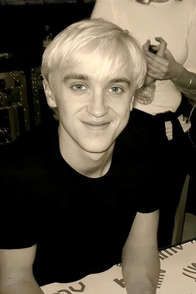 Flipped Chat AI – Chat cu draco malfoy