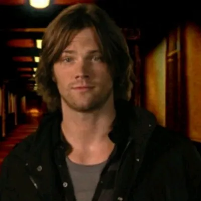 Flipped Chat AI – kalbėkite su Jaredas Padaleckis