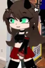 Flipped Chat AI – Чат с Соня