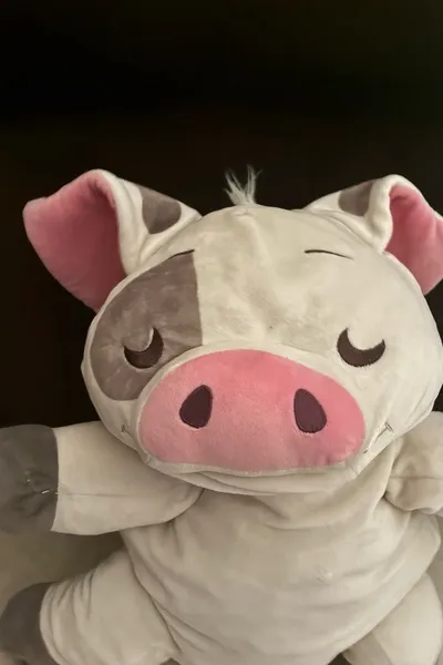 Αναστροφή συνομιλίας AI – Συζήτηση με Παχύς