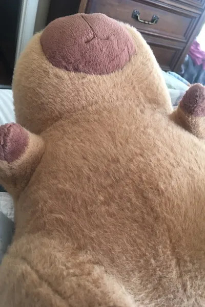 Flipped Chat AI – Chat cu capybara