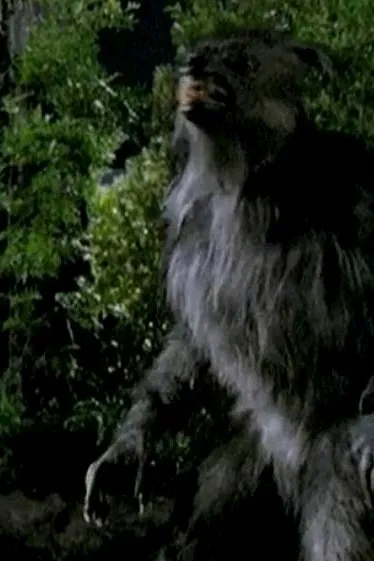 AI trò chuyện đảo ngược – Trò chuyện với Alpha Neptune