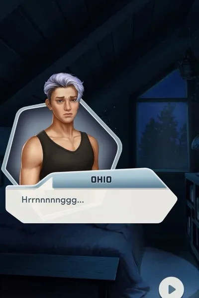 Flipped chat ai - makipag -chat sa Ohio Schibetta