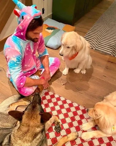 الذكاء الاصطناعي للدردشة المعكوسة – الدردشة مع جاريد باداليكي