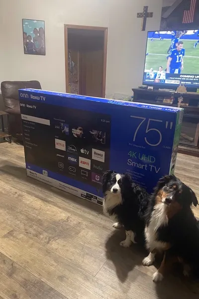 Flipped Chat AI – Chat Peruna Perry