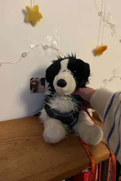 Odwrócony czat AI – rozmawiaj z Baloo the essa