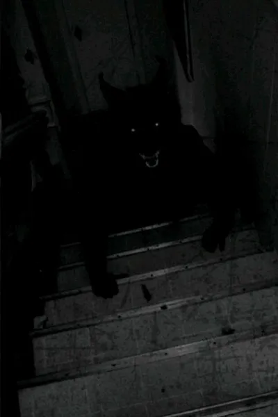 Flipped Chat AI – 셰이드 울프와 채팅