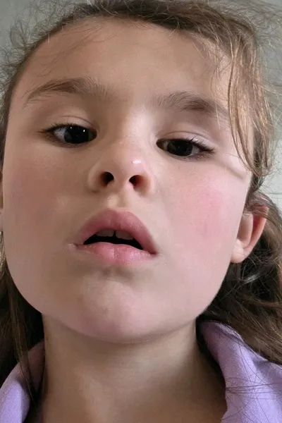 Flipped Chat AI – Chat Noel