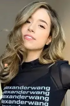 Flipped Chat AI – Discuter avec Pokimane