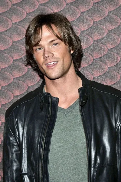 الذكاء الاصطناعي للدردشة المعكوسة – الدردشة مع جاريد باداليكي