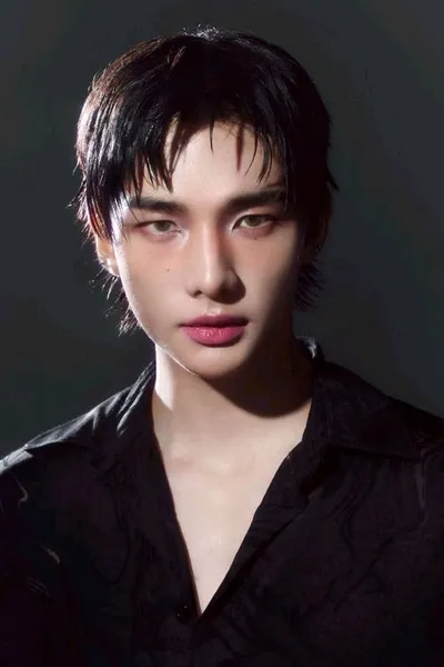 Αναστροφή συνομιλίας AI – Συζήτηση με Hyunjin