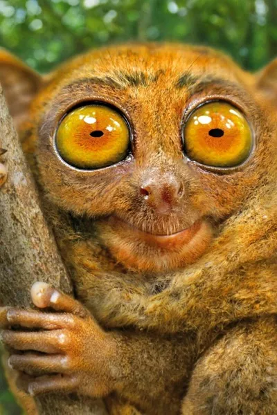 Αναστροφή συνομιλίας AI – Συζήτηση με Μπλάντι Μέρι