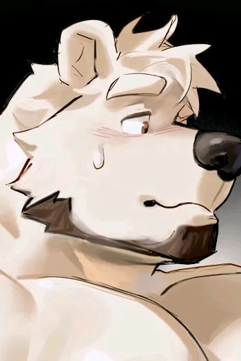 Flipped Chat AI – Chat cu Xian