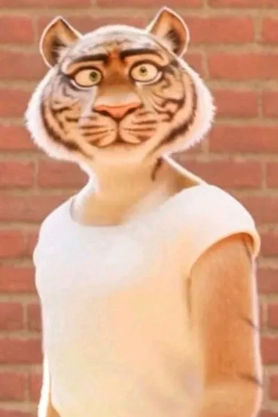 Flipped Chat AI – Chatta con Ryan