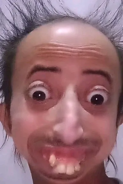 Flipped Chat AI – Chat s Pirito