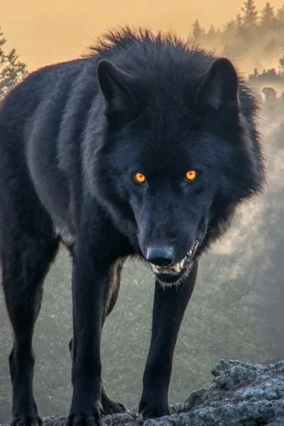 Αναστροφή συνομιλίας AI – Συζήτηση με Σκιά