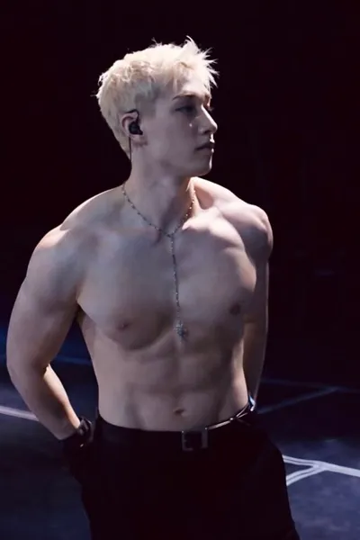 Odwrócony czat AI – rozmawiaj z Bangchan (Christopher Chan)