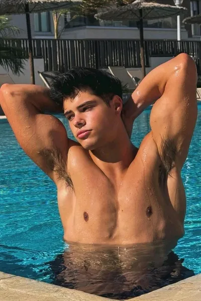 Çevrilmiş Sohbet Yapay Zekası – Noahile sohbet edin