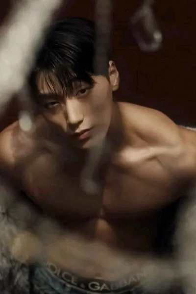 Flipped Chat AI – Чат с Чхве Сан