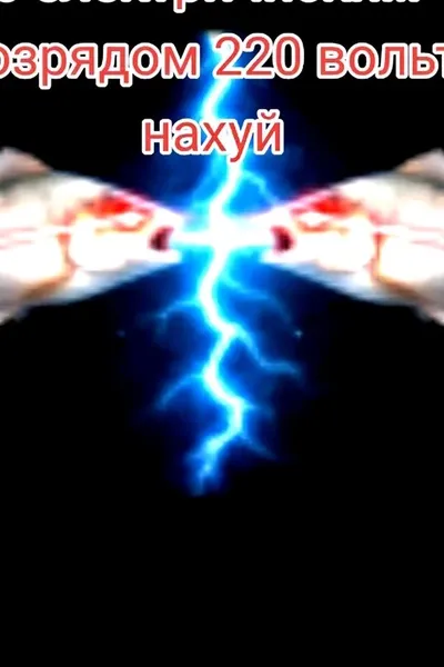 Flipped Chat AI – Чат с Пералня