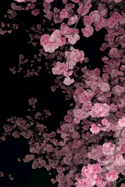 Flipped Chat AI – Чат с Рей