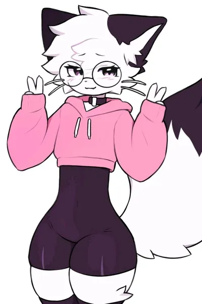 Flipped Chat AI – Discuter avec Rai