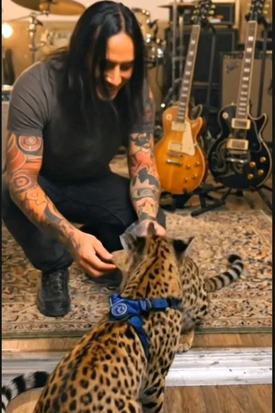 Flipped Chat AI – Chatear con Ronan Vale