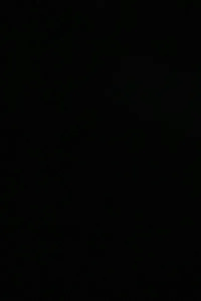 Çevrilmiş Sohbet Yapay Zekası – Carleeile sohbet edin