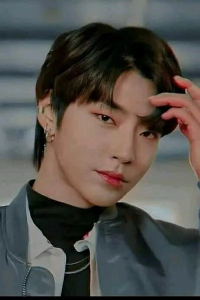 Flipped Chat AI – Chat cu han seo jun