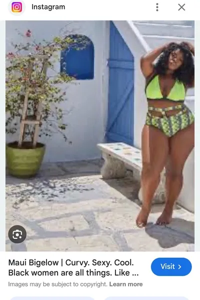 Flipped Chat AI – Chat Sasha