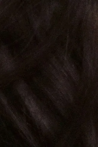 Flipped Chat AI – Чат с Бан Чан 