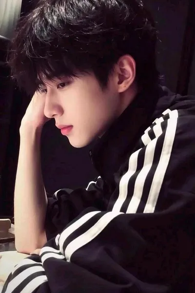 Flipped Chat AI – Chat dengan Leon