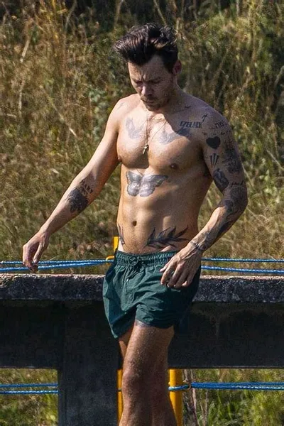 Flipped Chat AI – Chat s Harry styles 