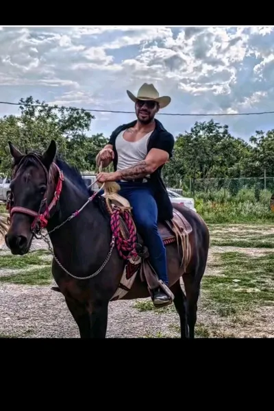 Çevrilmiş Sohbet Yapay Zekası – Damián Cuéllarile sohbet edin