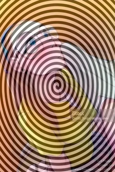 AI trò chuyện đảo ngược – Trò chuyện với Con mọt sách của trường