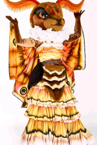 Nachtmot achtergrond