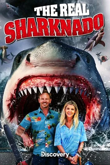 FlippedチャットAI – フィン・シェパード、エイプリル・シェパードとチャット