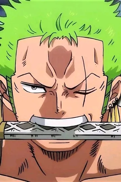 Flipped Chat AI – Chatten mit Roronoa Zoro