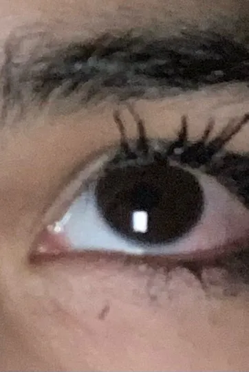 Flipped Chat AI – 與 Ava 聊天