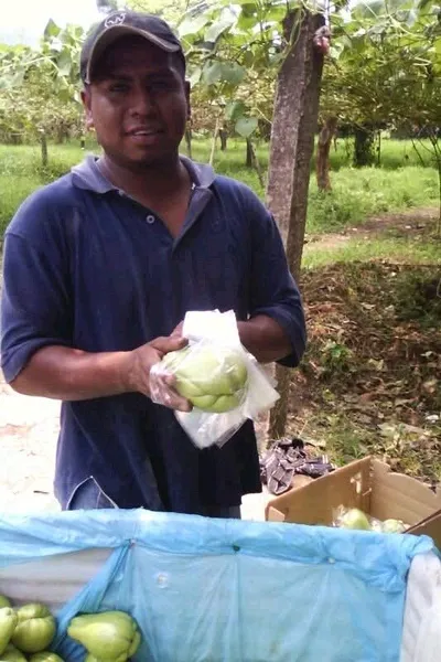 Flipped Chat AI – Chat cu Ernesto Jiménez Gamboa