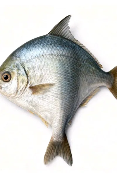 Çevrilmiş Sohbet Yapay Zekası – Eren Maviselile sohbet edin