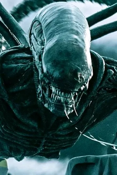 Çevrilmiş Sohbet Yapay Zekası – Чужойile sohbet edin