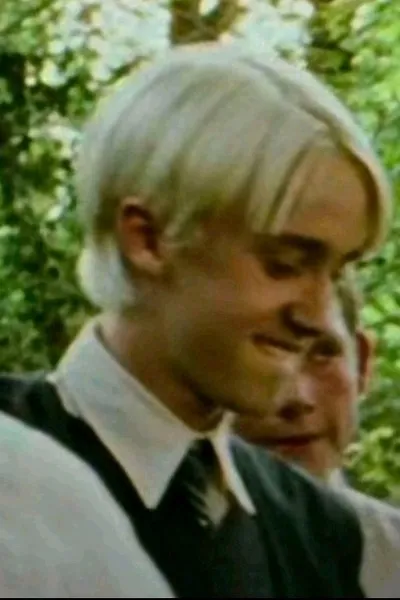 Flipped Chat AI – Чат с Драко